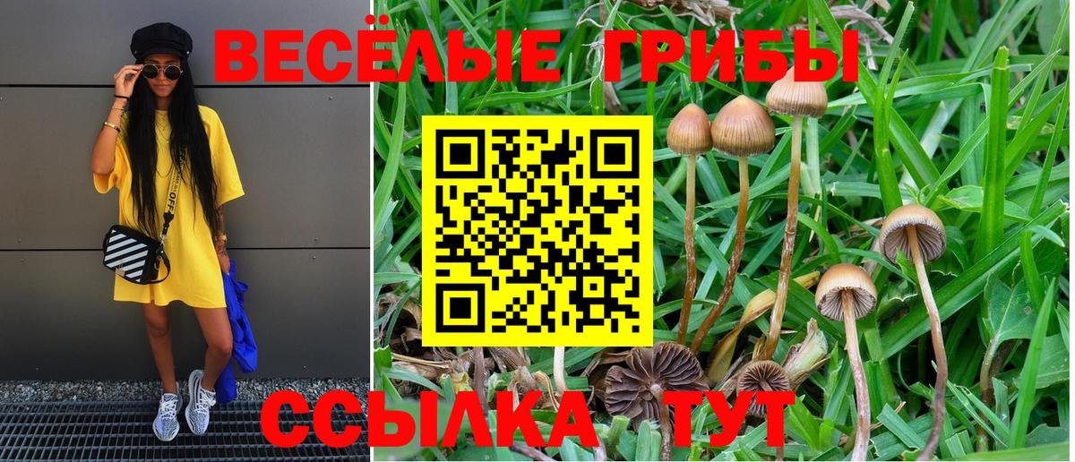 Галлюциногенные грибы Cubensis  Вход с VPN  Удомля  Псилоцибиновые грибы Psilocybe 